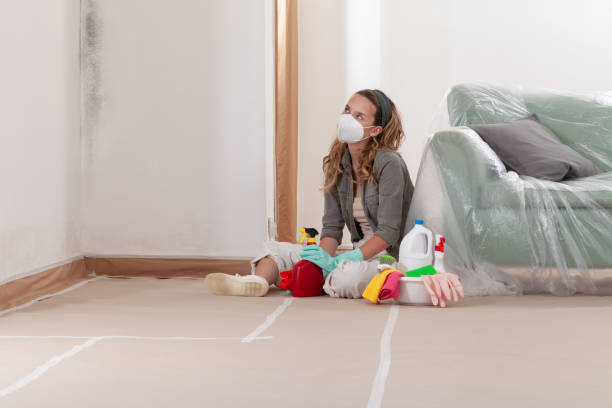 Reliable Mold Cleanup contractor in Alto, TX by WQB Mold Removal